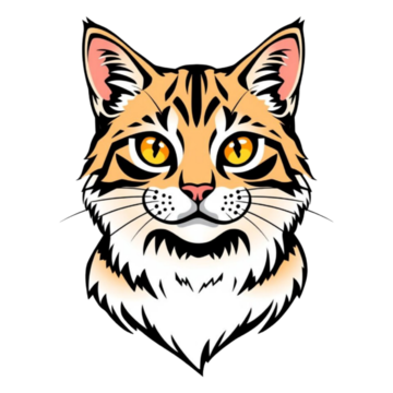 cat 1