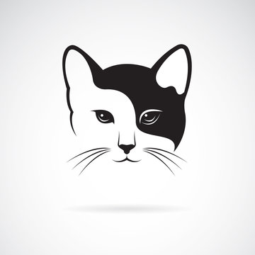 cat pic