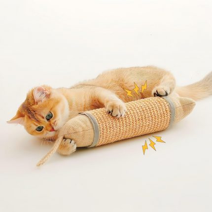 Cat Scratcher & Kicker Toy